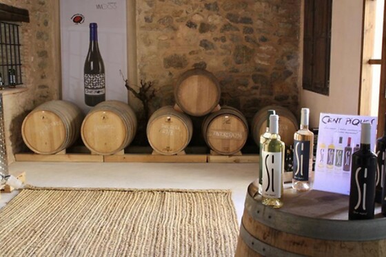 CENT PIQUES – BODEGAS VINADOS - photo 2