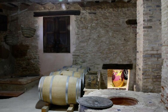 CENT PIQUES – BODEGAS VINADOS - photo 4