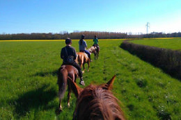 Poney Club de Saint-Christophe