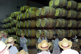 BODEGAS BOCOPA