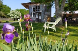 La Chouette Étoilée