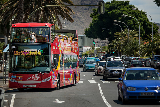 CITY SIGHTSEEING SANTA CRUZ DE TENERIFE - photo 5