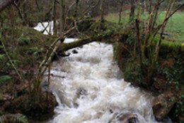 CABAÑA DEL RIO
