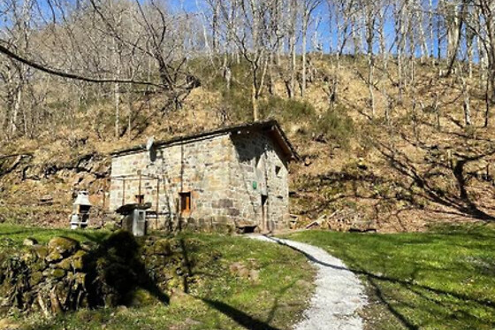 CABAÑA DEL RIO - photo 16
