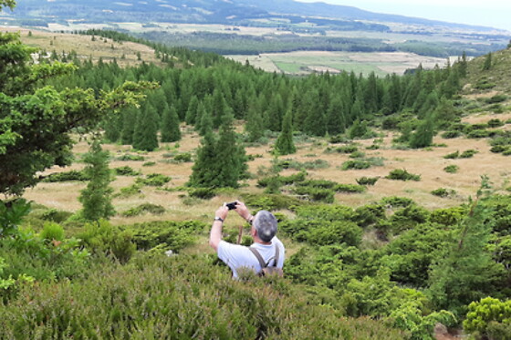 Azores Nature Tours - photo 18