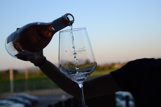 BODEGA SIERRA NORTE - photo 3