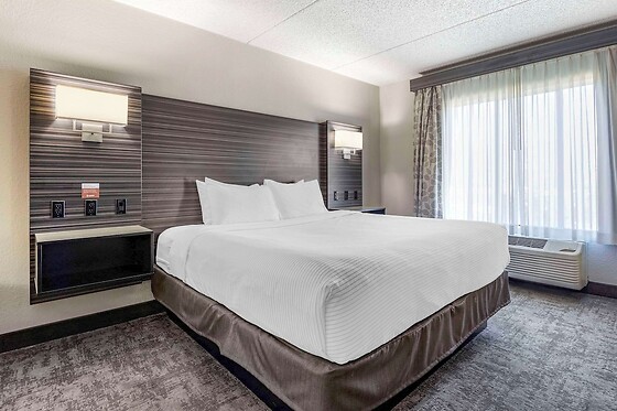 Online Booking EPS - photo 1