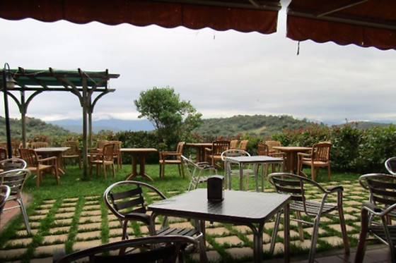 HOTEL MEDULIO - photo 1
