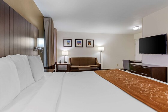 Online Booking EPS - photo 10