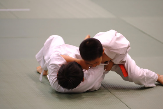 BOWGYM - photo 5