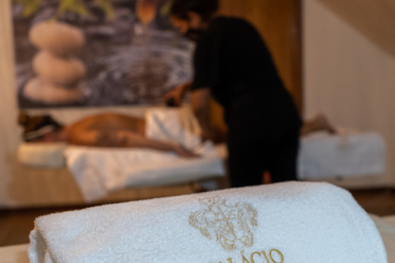 PALÁCIO SÃO SILVESTRE - BOUTIQUE HOTEL - photo 6