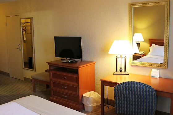 Online Booking EPS - photo 4