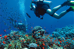 + MAR BUCEO