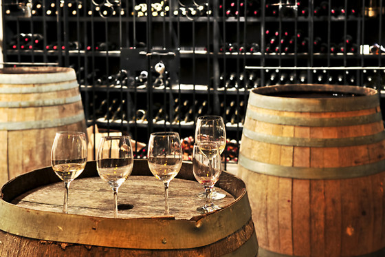 ARBAS BODEGAS Y VIÑEDOS - photo 4
