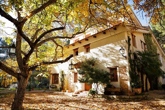 CORTIJO DE RAMÓN - photo 5