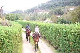 QUINTA DO FIJÓ