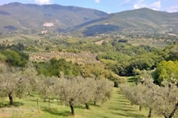 Hotel & Ristorante degli Angeli