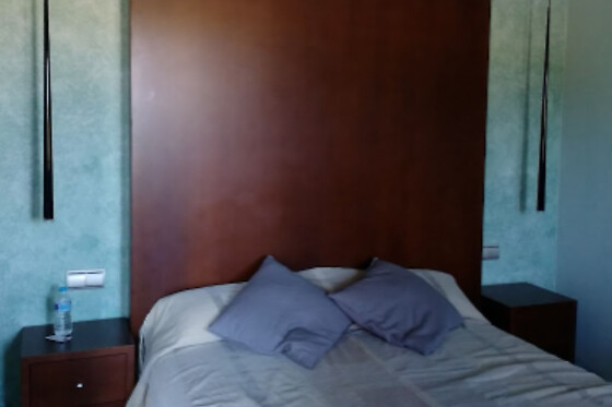 HOTEL FONT SALADA - photo 4