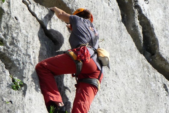 ALPINE PROJECT - photo 9
