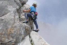 ALPINE PROJECT