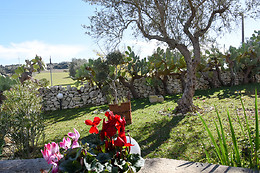 Agriturismo Tenuta Carbonara