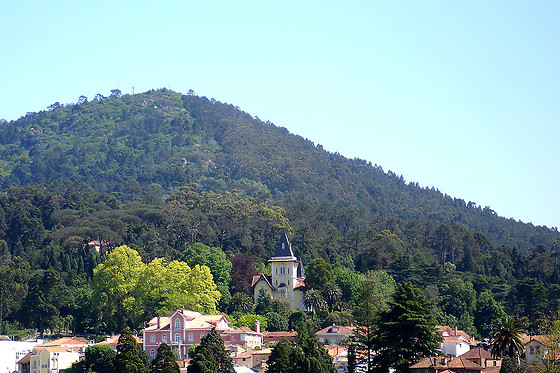 ALEGRE HOTEL BUSSACO 3* - photo 4