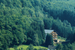 Wolffhotel
