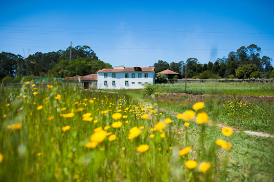 CASA MINDELA - photo 14
