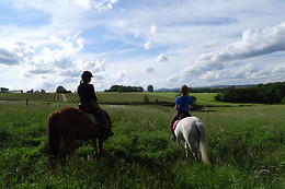 Un Poney, une histoire