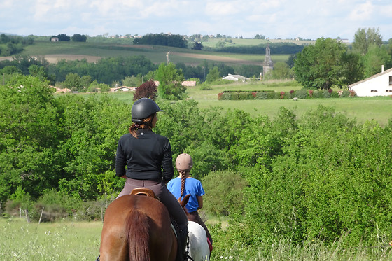 Un Poney, une histoire - photo 4