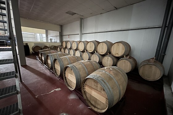 BODEGA LENEUS - photo 1