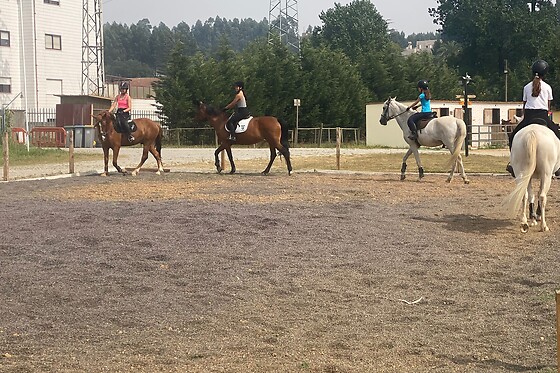 QUINTINHA PEDAGÓGICA DE CANELAS | CENTRO EQUESTRE COUTO PEREIRA - photo 4