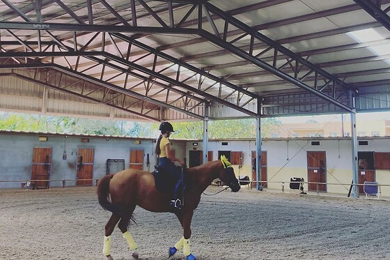 QUINTINHA PEDAGÓGICA DE CANELAS | CENTRO EQUESTRE COUTO PEREIRA - photo 2