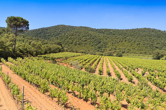 Domaine de la Portanière - photo 2