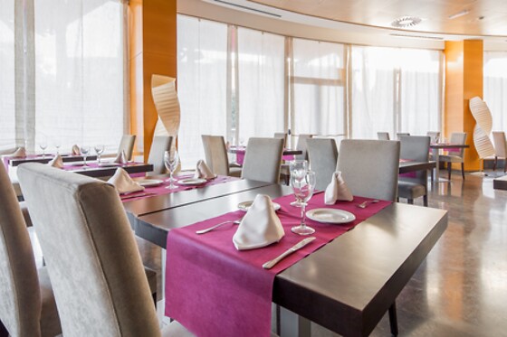 HOTEL VILA CENTRIC**** - photo 2