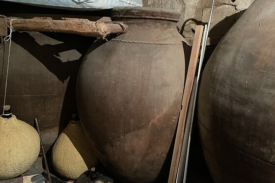 BODEGA EL SESEO - photo 3