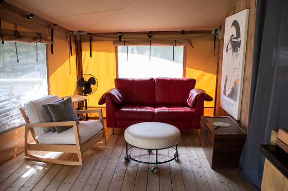 Quinta Japonesa - photo 7