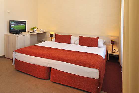 Star City Hotel - photo 15