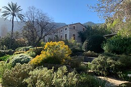 JARDIN BOTANICO DE SOLLER