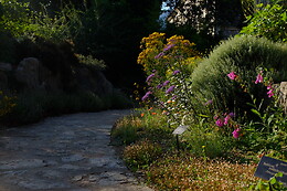 JARDIN BOTANICO DE SOLLER