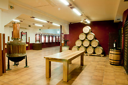 HOTEL PALACIOS