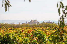 BODEGAS VEGA DEL CASTILLO