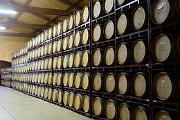 BODEGAS VEGA DEL CASTILLO