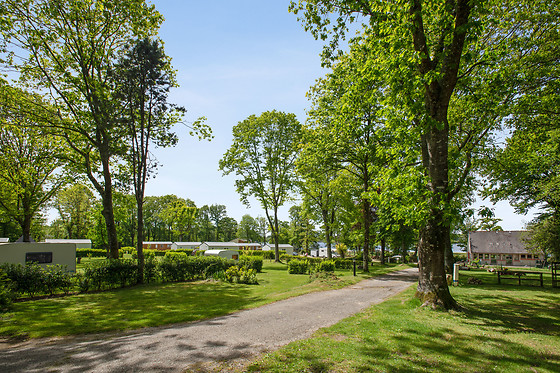 Camping le lac o fées - photo 10