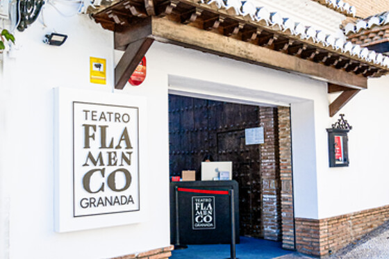 TEATRO FLAMENCO GRANADA - photo 3