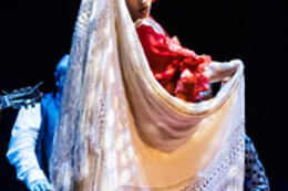 TEATRO FLAMENCO GRANADA