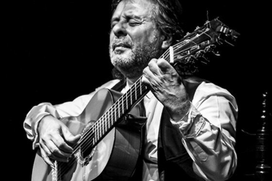 TEATRO FLAMENCO GRANADA - photo 11