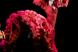 TEATRO FLAMENCO GRANADA