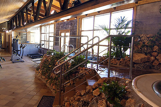 HOTEL PALACIO DE OÑATE SPA - photo 18