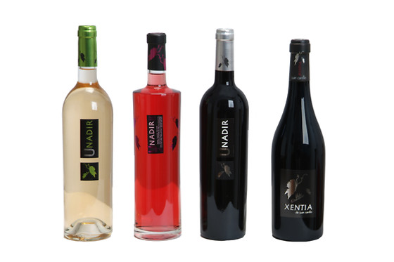 PAGO DE LAS ENCOMIENDAS VIÑEDOS Y BODEGAS - photo 7